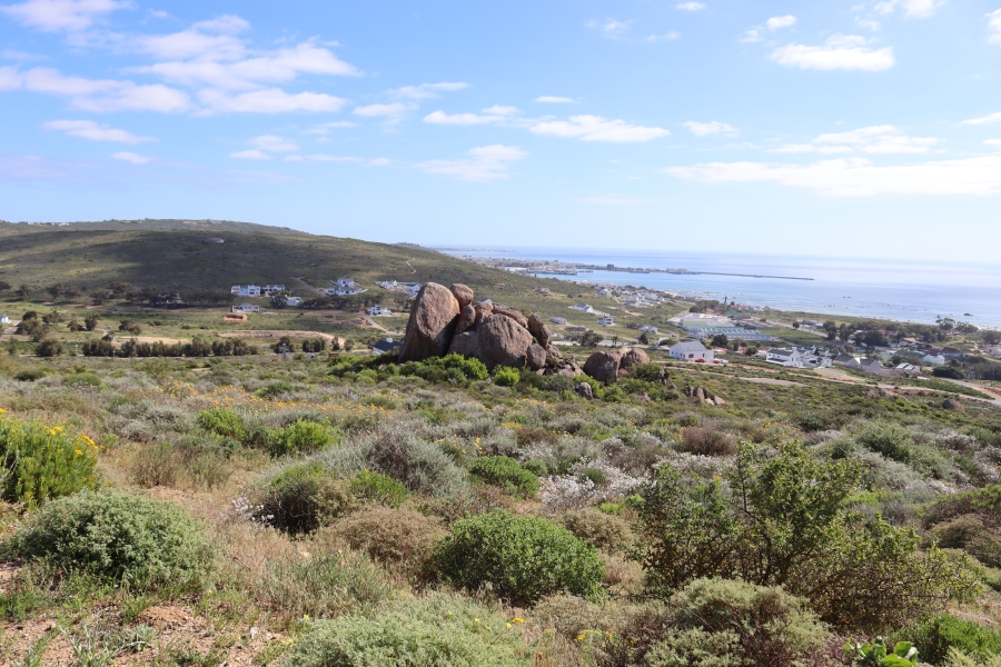0 Bedroom Property for Sale in Steenbergs Cove Western Cape